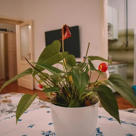 Apartment Nina Sarajevo